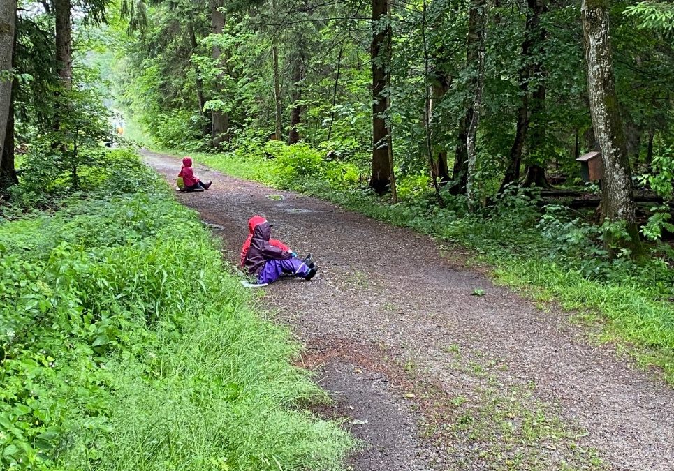 In unseren Nistkästen ist Leben