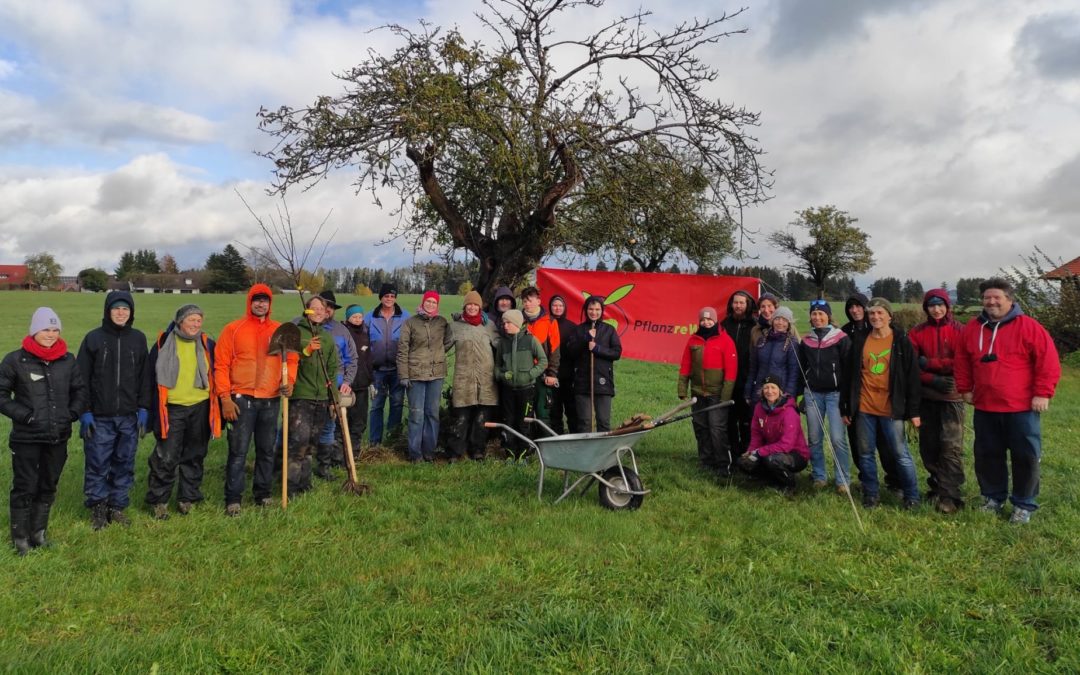 Seit 11.11.23 wächst eine naturnahe Hecke  in den „unendlichen Weiten“ des Grünlands bei Vogt