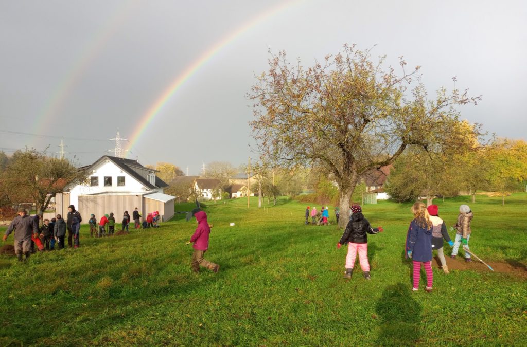 Pflanzen unterm Regenbogen in Grünkraut