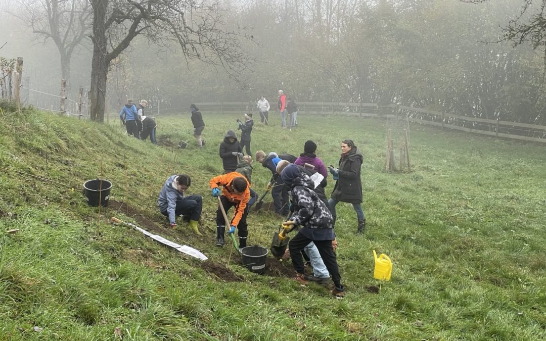 Schulklasse pflanzt Streuobstbäume und Hecke in Luss