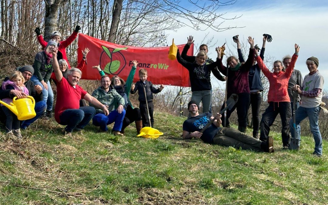 Eine naturnahe Hecke soll Wäldchen vor Trockenheit schützen